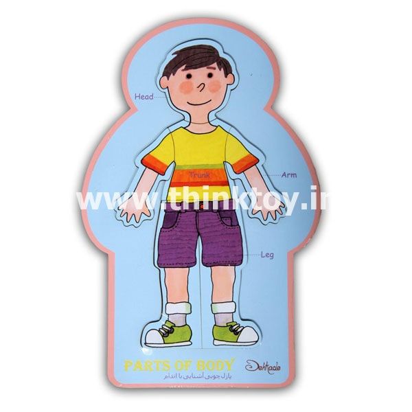 پازل چوبی اندام بدن